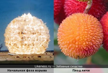 Фаза взрыва на стоп-кадре напоминает плод личи