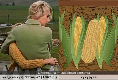 Кадр из художественного фильма &quot;Птицы&quot; напоминает кукурузу