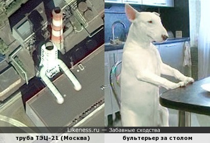 Труба московской ТЭЦ-21 напоминает собаку за столом