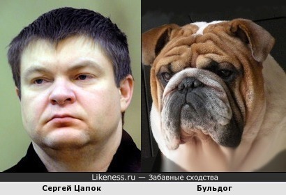 Сергей Цап!-ок