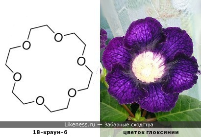 Ещё один молекулярный &quot;цветочек&quot;