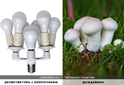 Лампочки в разветвителе напоминают грибы