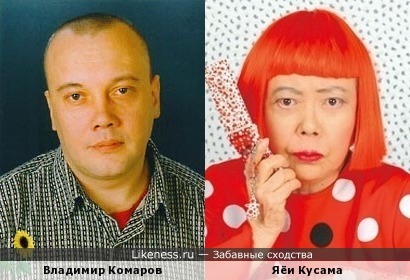 Владимир Комаров похож на Яёи Кусаму