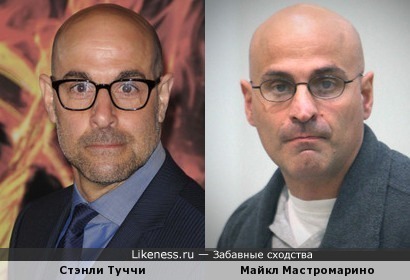 Майкл Мастромарино похож на Стэнли Туччи