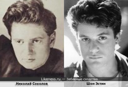 Николай Соколов -похож на Шона Эстина