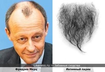 Лоб - лобок. (звездатая причёска)