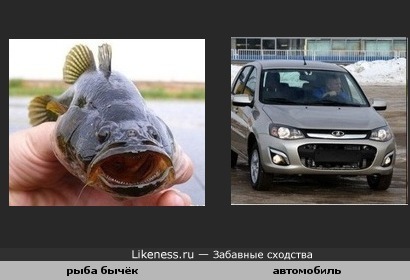 рыба похожа на машину