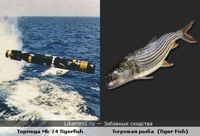 Лингвистический пост: торпеда &quot;Тайгерфиш&quot; фирмы &quot;Маркони&quot; и тигровая рыба голиаф (Tiger Fish)