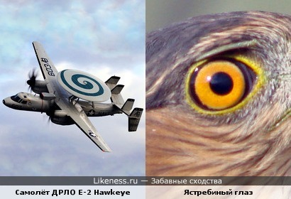 Лингвистический пост: палубный самолёт ДРЛО E-2 &quot;Хокай&quot; фирмы &quot;Грумман&quot; и ястребиный глаз (англ. Hawk-eye)