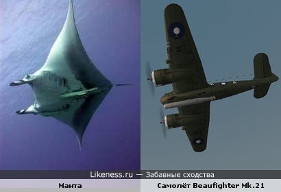 Манта с рыбой прилипалой похожа на двухмоторный самолёт &quot;Бристоль Бофайтер&quot; с торпедой