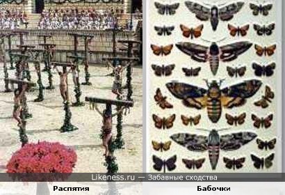 Массовые распятия преступников в Древнем Риме напоминают выставку коллекционных бабочек