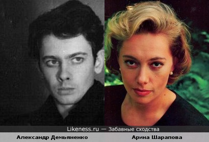 Арина Шарапова похожа на Александра Демьяненко