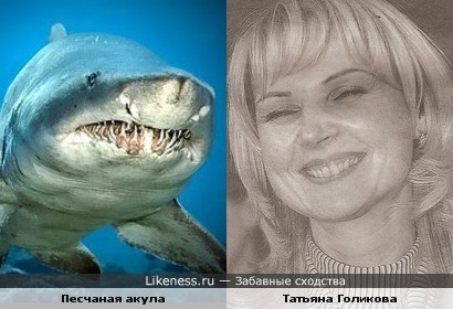 Татьяна Голикова напоминает песчаную акулу