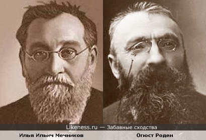 Огюст Роден и Илья Ильич Мечников, кажется, похожи