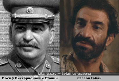 Сэссон Габаи похож на Сталина