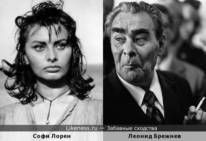 Софи Лорен похожа на Брежнева, как внучка на дедушку