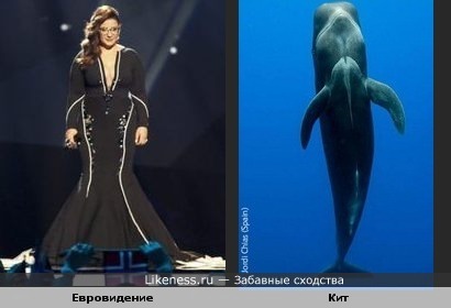 Платье напомнило кита под водой
