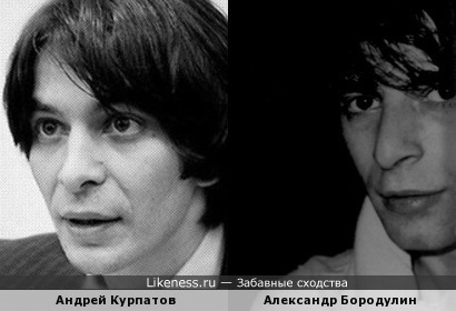 Андрей Курпатов похож на Александра Бородулина