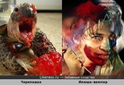 Звезда интернета (Черепашка кушает помидорку) и вампир (мой вариант - персонаж Ильи Лагутенко)