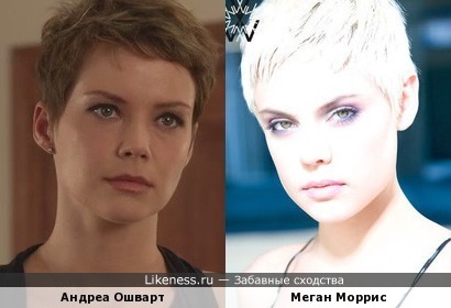 Андреа Ошварт похожа на Меган Моррис