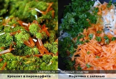 Зеленушка и морковка - очень быстрая готовка