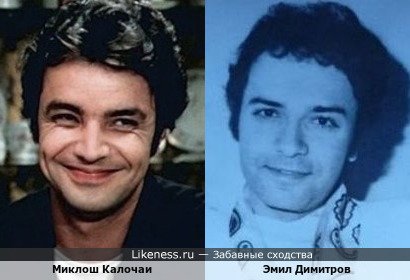 Миклош Калочаи похож на Эмила Димитрова