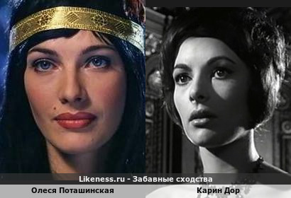 Олеся Поташинская похожа на Карин Дор