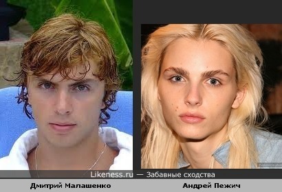 Дмитрий Малашенко похож на Андрея Пежича