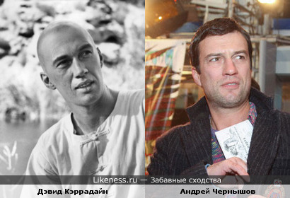 Дэвид Кэррадайн похож на Андрея Чернышова