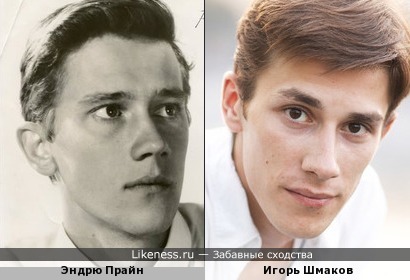 Эндрю Прайн похож на Игоря Шмакова
