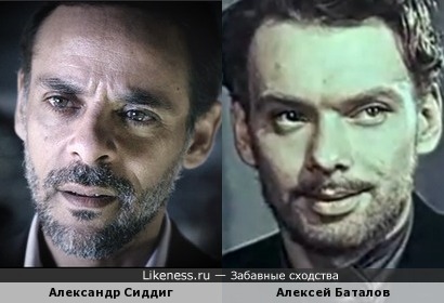 Александр Сиддиг и Алексей Баталов