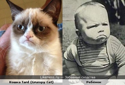 Ребёнок похож на Grumpy Cat