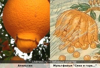 День рождения апельсина