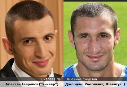 Алексей Гаврилов похож на Джорджо Кьеллини