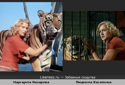 Полосатый рейс и Укротительница тигров похожи: героини, тигры и кадры из фильмов.
