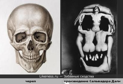 Что общего между женским телом и черепом? Дали!