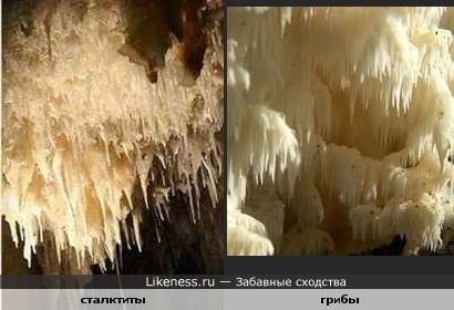 Микро-пещера для муравья