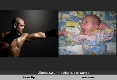Боксёр против грудного ребёнка