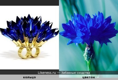 Двойное кольцо Джоджи Кодзима похоже на цветок василька.