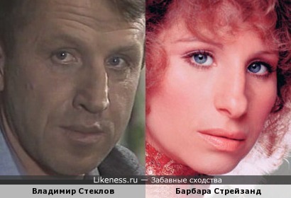 Владимир Стеклов и Барбара Стрейзанд похожи.