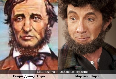 Борода Ушинского.