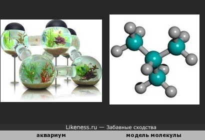Аквариум похож на модель молекулы