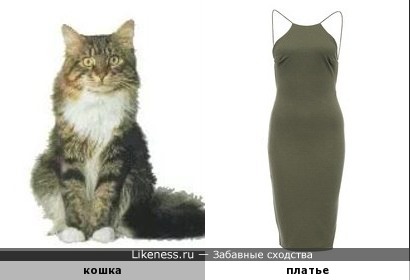 Платье из КОТОлога похоже на кошку