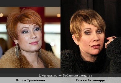 Ольга Тумайкина похожа на Елену Галлиардт