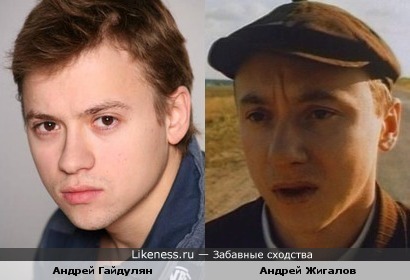 Андрей Гайдулян похож на Андрея Жигалова