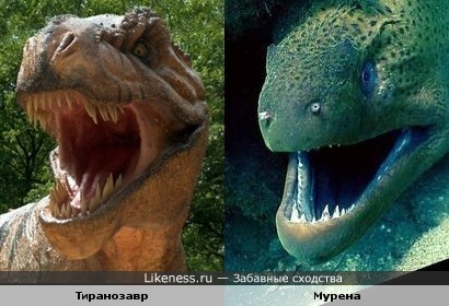 Тиранозавр и мурена