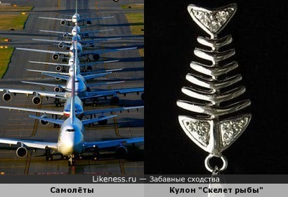 Самолеты, стоящие в ряд, похожи на скелет рыбы