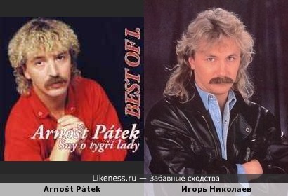 Arnošt Pátek напоминает Игоря Николаева