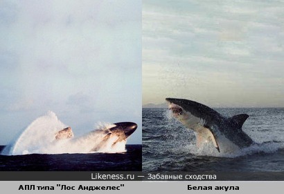 Атомная подводная лодка типа &quot;Лос Анджелес&quot; и белая акула