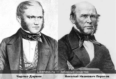 Чарльз Дарвин напоминает Николая Ивановича Пирогова